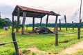 September 09, 2014 - Trained elephants in Chitwan National Park, Royalty Free Stock Photo