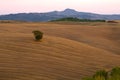 September twilight in the fields of Tuscany. Italy Royalty Free Stock Photo