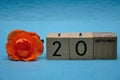 20 September on wooden blocks with an orange rose