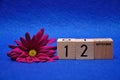 12 September on wooden blocks with a purple daisy Royalty Free Stock Photo