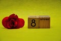 8 September on wooden blocks with a red flower
