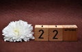 22 September on wooden blocks with a white aster