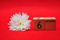 6 September on wooden blocks with a white daisy