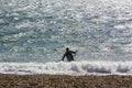 A young man in the surf preparing to kiteboard the waves