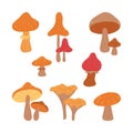 Autumn Mushrooms vector element collection