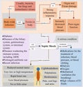 Septic shock is associated with body infections and seriously decreased blood pressure