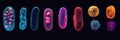 Sequence of evolving bacteria demonstrating diverse structures and characteristics in a scientific exploration