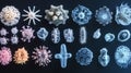 Sequence of evolving bacteria showcasing diversity and complexity in microscopic life forms. Generative AI