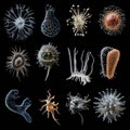 Evolving bacteria captured over time displaying diverse shapes and forms under microscopic observation. Generative AI