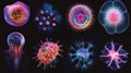 Sequence of evolving bacteria displaying diverse forms and structures under microscopic observation in a lab setting