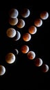 Sequence of a lunar eclipse showing the moon's phases against a dark night sky. Royalty Free Stock Photo