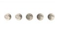 A sequence of moon phases in a white background Royalty Free Stock Photo