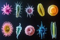 Sequence of evolving bacteria showcasing diverse forms and colors in a scientific study. Generative AI