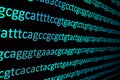 Sequencing the genome