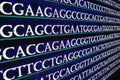 Sequencing of the genome in the laboratory.