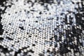 Sequin fabric texture. Shiny silver sparkling background. Clothing piece of glitter metallic for a glamorous party Royalty Free Stock Photo