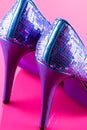 Sequin Shoes Royalty Free Stock Photo