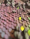 sequin textured background Royalty Free Stock Photo
