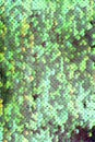 Abstract texture scales with green sequins