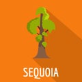 Sequoia icon, flat style