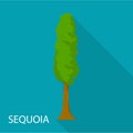 Sequoia icon, flat style