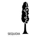 Sequoia icon, simple style Royalty Free Stock Photo