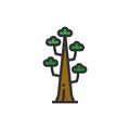Sequoia Icon Vector Illustration ,Nature ,Wood