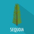 Sequoia leaf icon, flat style Royalty Free Stock Photo