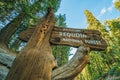 Sequoia National Forest Royalty Free Stock Photo