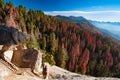 Sequoia National Park Royalty Free Stock Photo