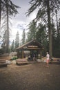 Sequoia National Park California inUSA The traveler is going in the Sherman tree trail at the Sequoia Nation Royalty Free Stock Photo