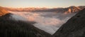 Sequoia National Park Red Wood Foggy Forest Royalty Free Stock Photo