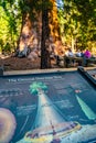 Information sign in the Sequoia National Forest with one of the largest trees Royalty Free Stock Photo