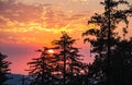 Sequoia silhouettes against orange, pink, red, marsala skies, Kings Canyon