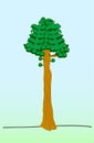 Sequoia tree flat solated on blue green baickground vector illustration