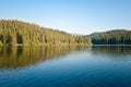 Sequoia Trees and Lake