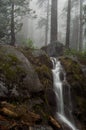 Sequoia waterfall Royalty Free Stock Photo