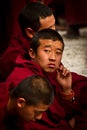 Sera Monastery Debating Monks of Lhasa Tibet Royalty Free Stock Photo