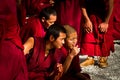 Sera Monastery Debating Monks watch on in Lhasa Tibet Royalty Free Stock Photo