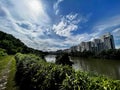 Serangoon reservoir catchment forest Royalty Free Stock Photo