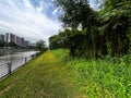 Serangoon reservoir forest water catchment Royalty Free Stock Photo