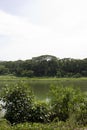 Serangoon River Royalty Free Stock Photo