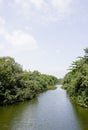 Serangoon River, Singapore Royalty Free Stock Photo