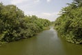 Serangoon River, Singapore Royalty Free Stock Photo