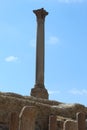 Serapeum and Pompey`s Pillar and the sphinx.