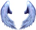 Seraphim Angel Wings 2