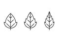 Seratted leaf line icon set. botanical and nature symbol. three leaves vector images Royalty Free Stock Photo