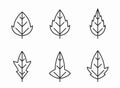 Seratted and lobed leaf line icon set. botanical and nature symbols. three leaves images Royalty Free Stock Photo