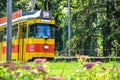 Serbia, Belgrade Tram`s. Old Yellow Tram