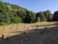 Serbia monastery Koporin nearby harvested field